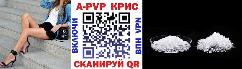 Купить где Гаджиево A PVP крисы CK