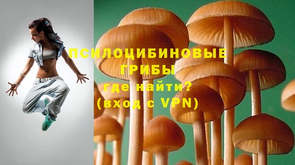 прущий лед Аркадак