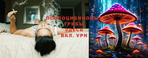 прущий лед Аркадак