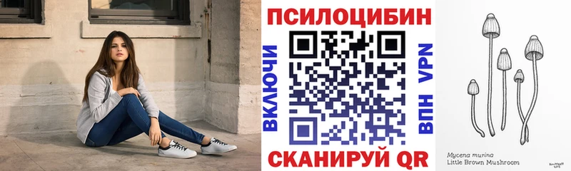 Псилоцибиновые грибы прущие грибы  Купить закладки  Гаджиево 